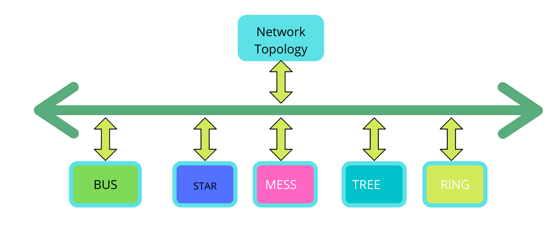 Types Of Network Topology Full List Examples Diagrams Teachoo | The ...